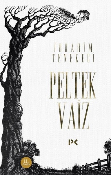 Peltek Vaiz