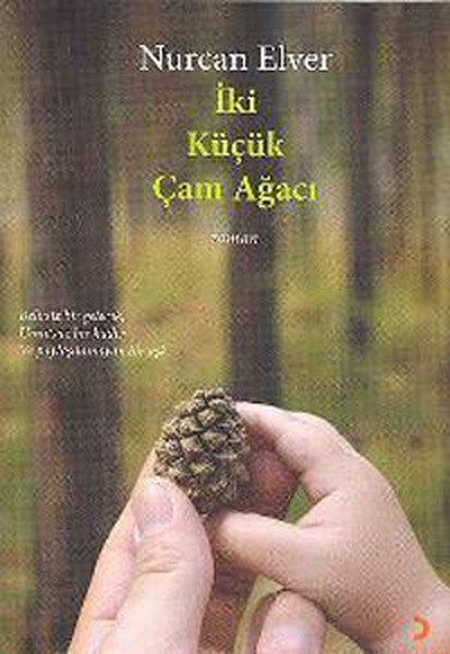 Happy Pure Home Çam Ağacı Taşlı Ortam Kokusu (Kumkuat) 50 ML | Fiyat Arşivi