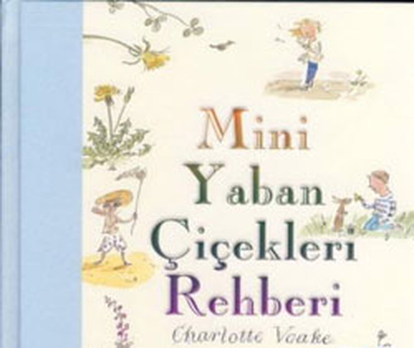 Mini Yaban Çiçekleri Rehberi