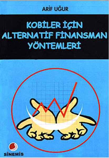 Kobiler İçin Alternatif Finansman Yöntemleri