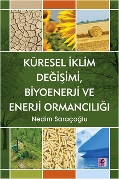 Küresel İklim Değişimi Biyoenerji ve Enerji Ormancılığı