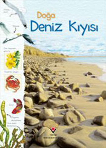 Doğa - Deniz Kıyısı