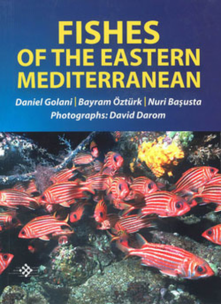 Fishes Of The Eastern Mediterranean