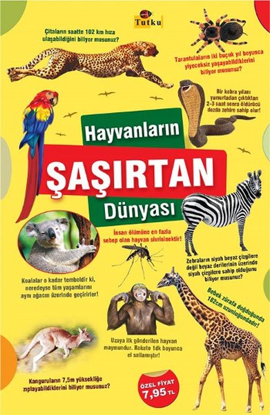 Hayvanların Şaşırtan Dünyası