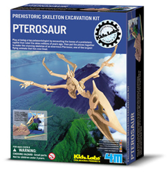 4M Pterosaur Kazi Seti - 13238