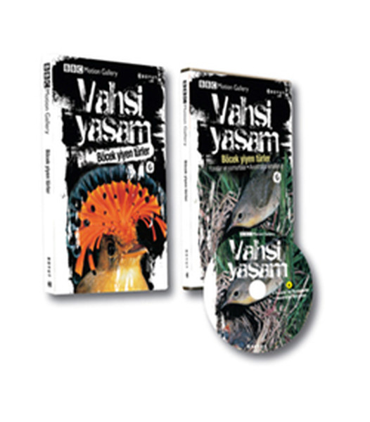 Vahşi Yaşam 2 / Böcek Yiyen Türler