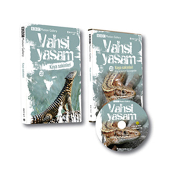 Vahşi Yaşam 2 / Kaya Sakinleri