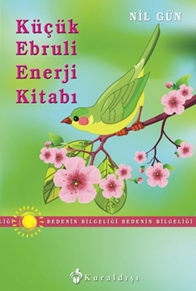 Küçük Ebruli Enerji Kitabı