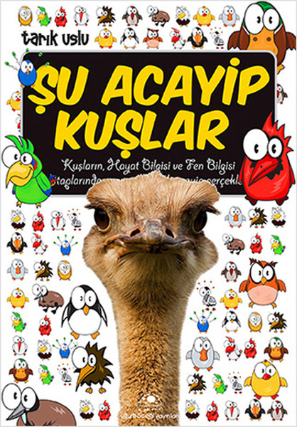 Şu Acayip Kuşlar