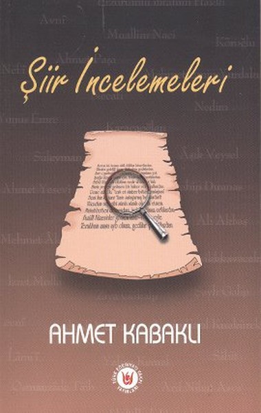 Şiir İncelemeleri