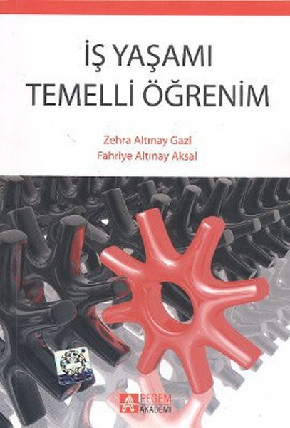 İş Yaşamı Temelli Öğrenim