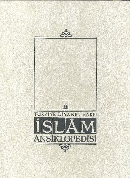 İslam Ansiklopedisi 31. Cilt (Muhammediyye - Mü...