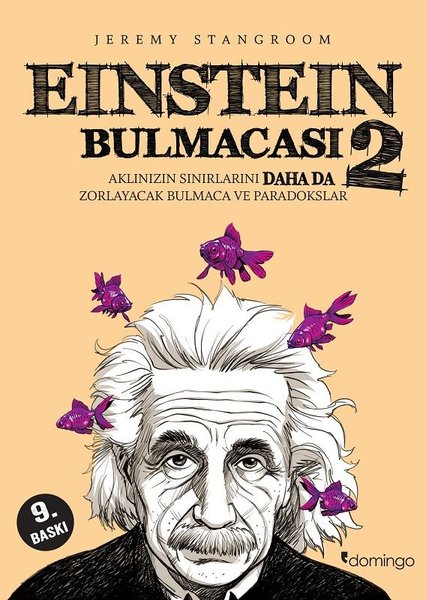 Einstein Bulmacası 2