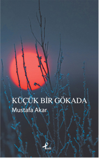 Küçük Bir Gökada