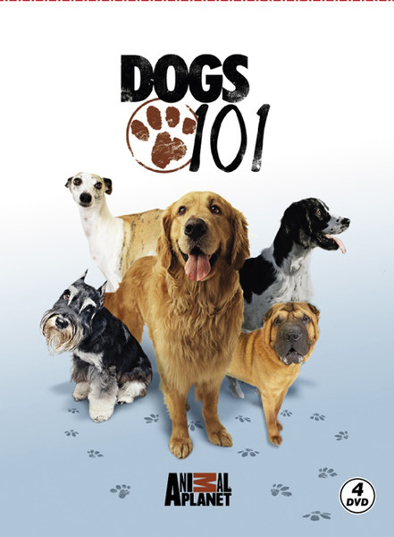 Dogs 101 - Köpekler