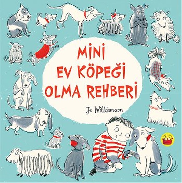 Mini Ev Köpeği Olma Rehberi