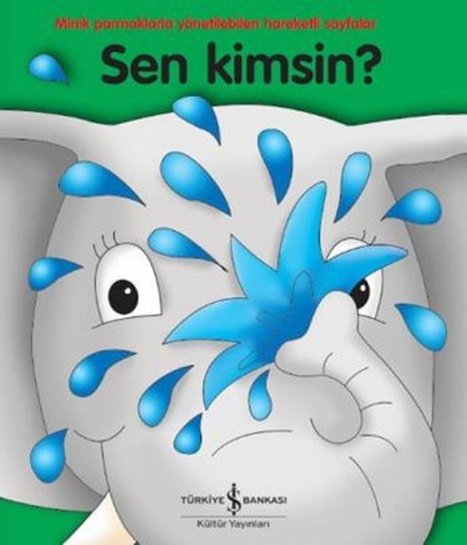 Sen Kimsin?