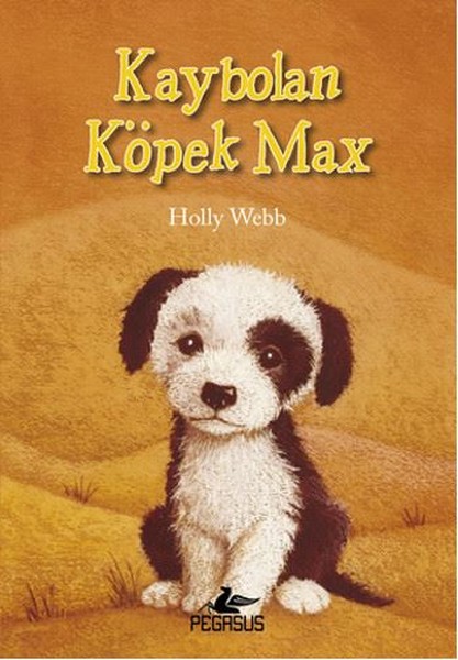 Kaybolan Köpek Max