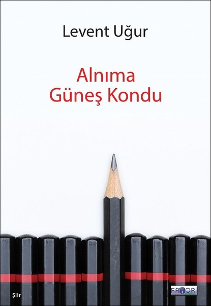 Alnıma Güneş Kondu