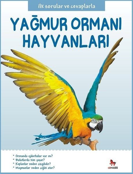 Yağmur Ormanı Hayvanları