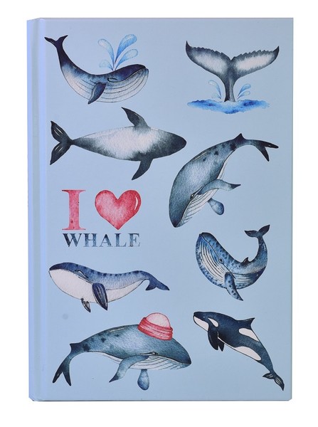 Deffter Underwater / I Love Whale