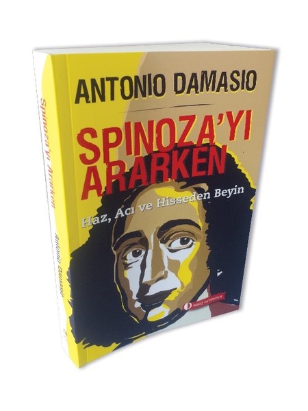 Spinoza'yı Ararken