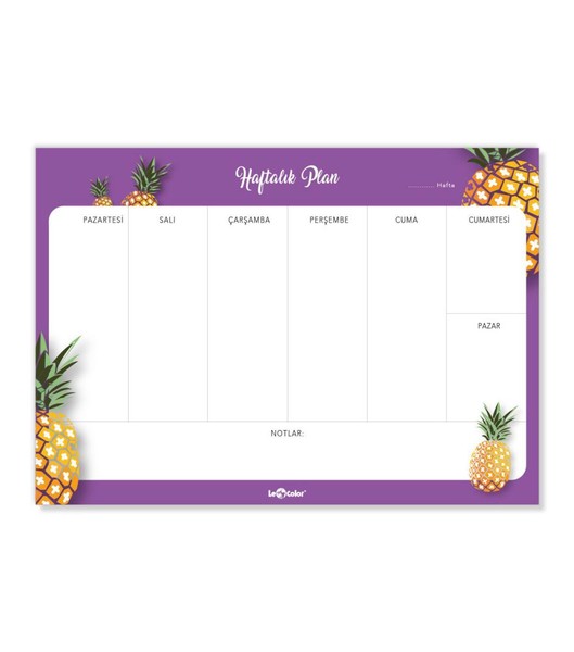 LeColor Planner Ananas