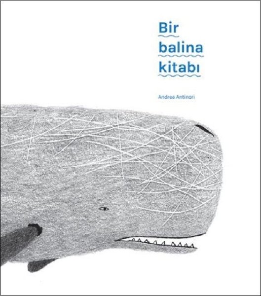 Bir Balina Kitabı