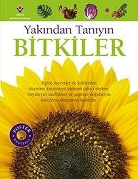 Bitkiler-Yakından Tanıyın