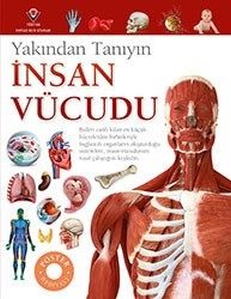 İnsan Vücudu-Yakından Tanıyın