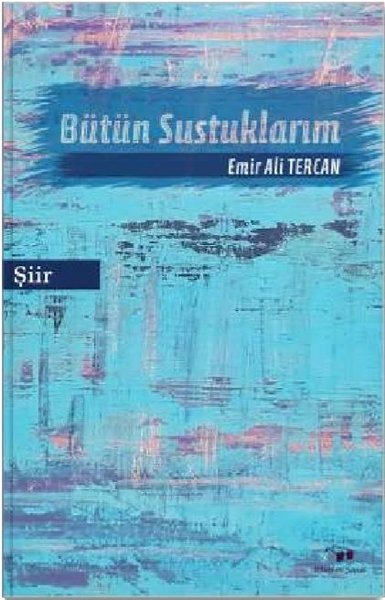 Bütün Sustuklarım