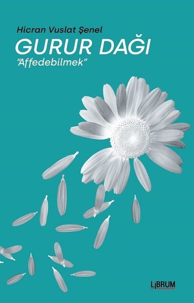 Gurur Dağı-Affedebilmek