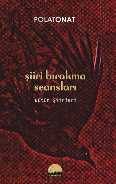 Şiir Bırakma Seansları