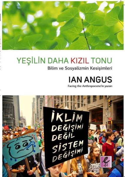 Yeşilin Daha Kızıl Tonu