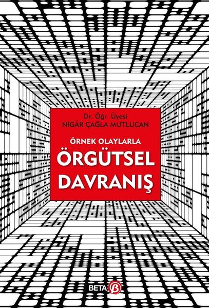 Örnek Olaylarla Örgütsel Davranış