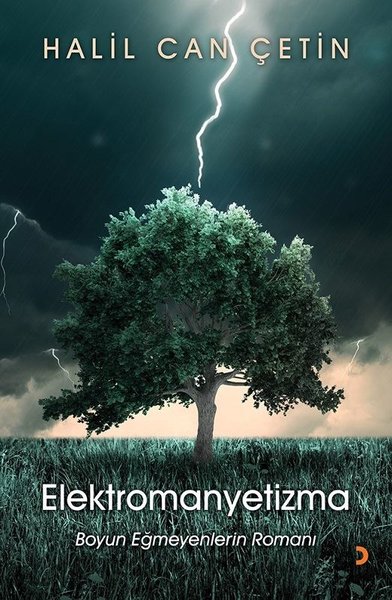 Elektromanyetizma-Boyun Eğmeyenlerin Romanı