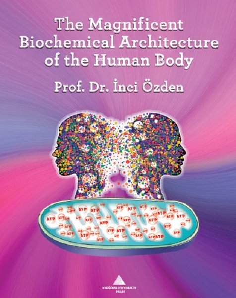 The Magnificent Biochemical Architecture of the Human Body