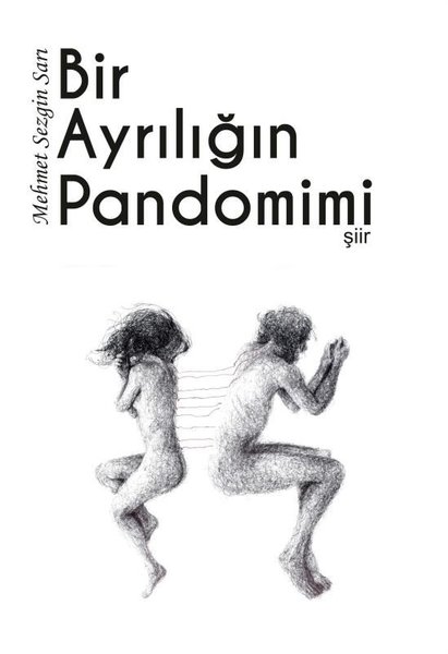 Bir Ayrılığın Pandomimi