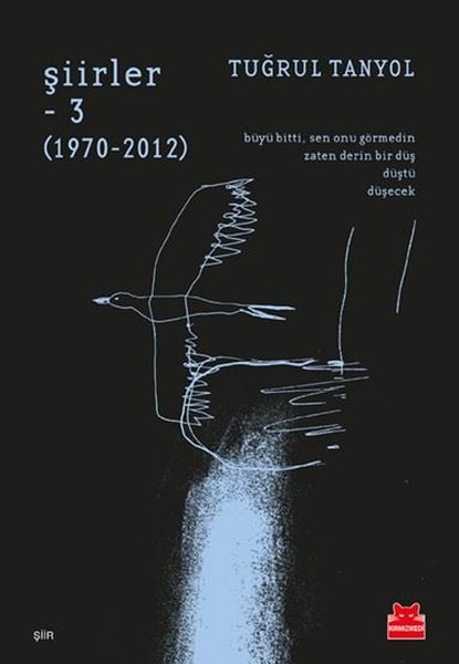 Şiirler 3: 1970-2012