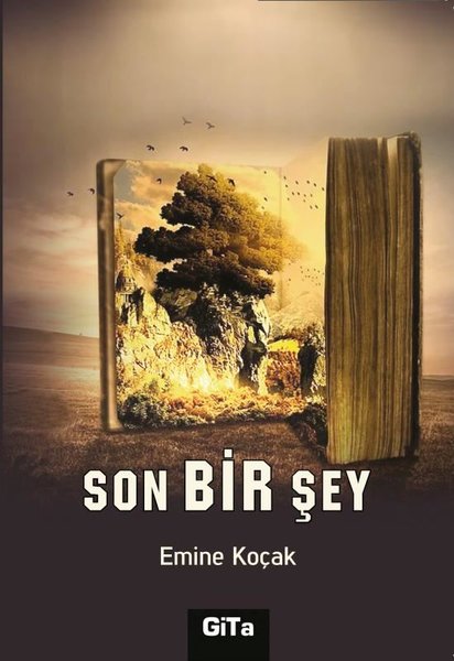 Son Bir Şey