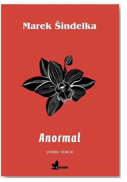 Anormal