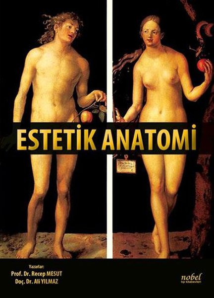 Estetik Anatomi