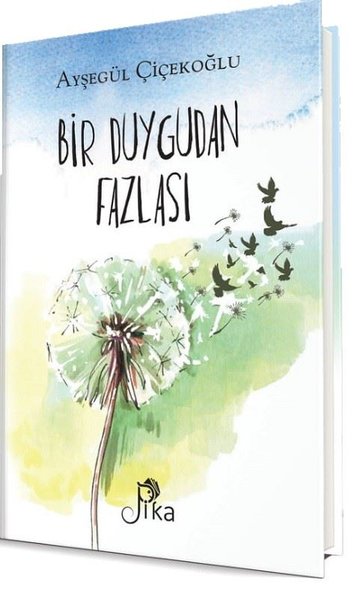 Bir Duygudan Fazlası