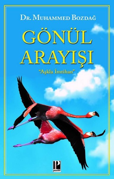 Gönül Arayışı