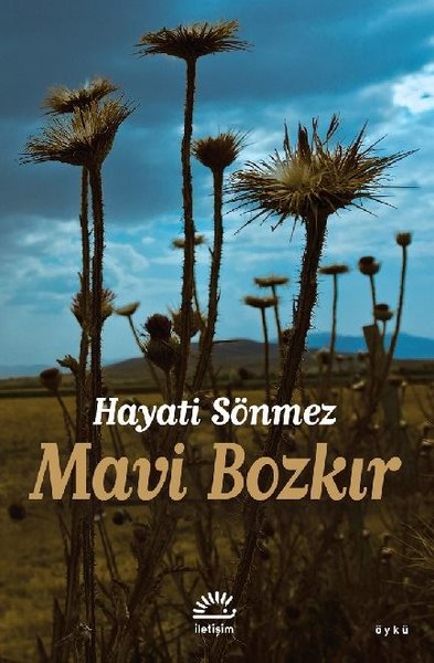 Mavi Bozkır