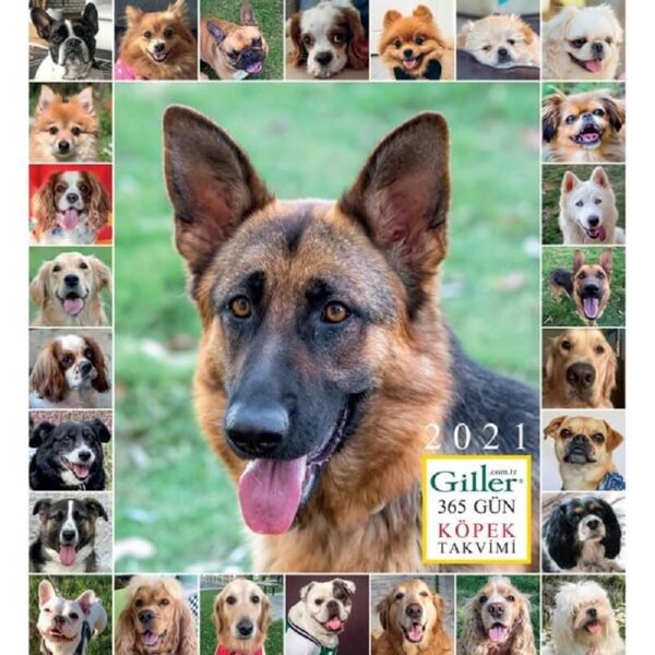 Giller 2021 Köpek Duvar Takvimi D&amp;R Kültür, Sanat ve Eğlence Dünyası