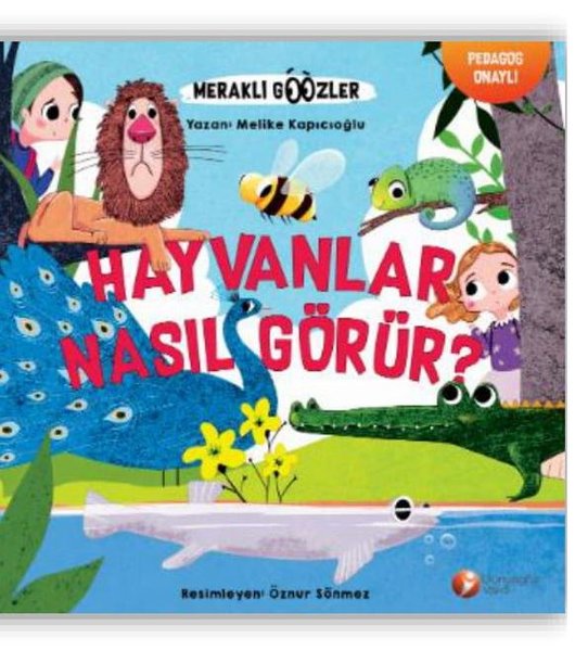 tır videoları sevimli hırsız full izle