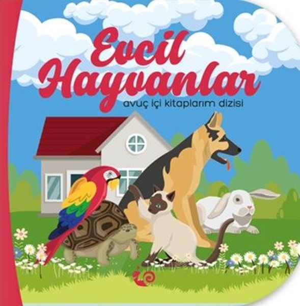 Evcil Hayvanlar - Avuç İçi Kitaplarım Dizisi