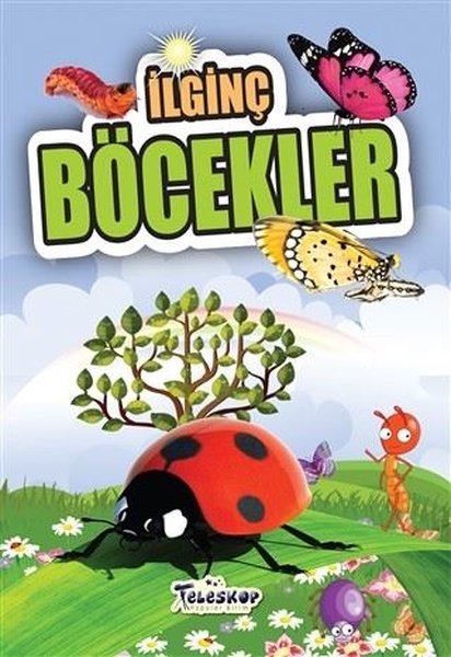 İlginç Böcekler