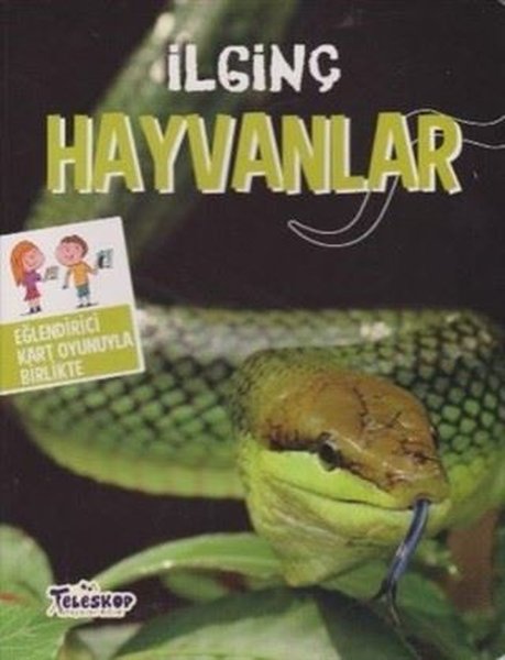 İlginç Hayvanlar